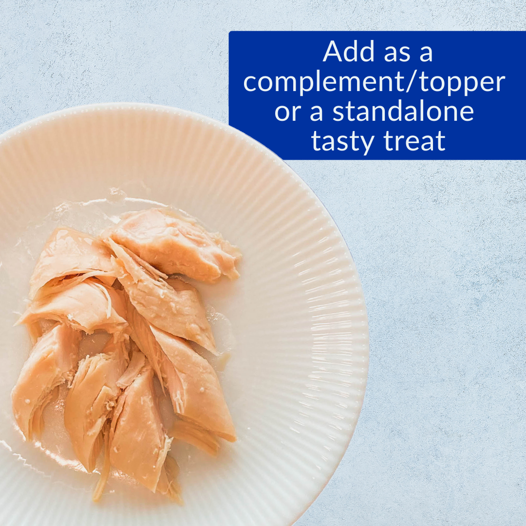 grilled tuna flakes on a white plate