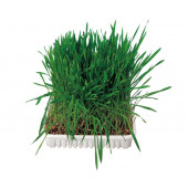 Trixie Grass for Rodents - Трева за гризачи 