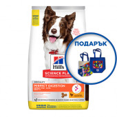 Hill`s Adult Perfect Digestion  Medium  – За средна порода кучета над 1 година с пилешко и кафяв ориз
