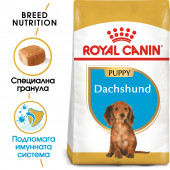 Суха храна за кучета Royal Canin BREED DACHSHUND JUNIOR 1,5кг.