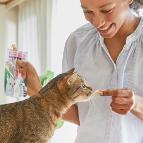 Натурално лакомство за котки Ciao Cat Treats Grilled Chicken Fillet in Chicken Flavored Broth истинско пилешко филе, залято с пилешки бульон; №1в света мокро лакомство за котки 