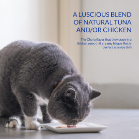 Пауч за котки Ciao Cat Wet Bisque Chicken Recipe френска супа, биск, мус от пилешко месо с бульон от дълбоководни миди, перфектната заливка за гранулирана храна при капризни котки; №1 в света мокро лакомство за котки 