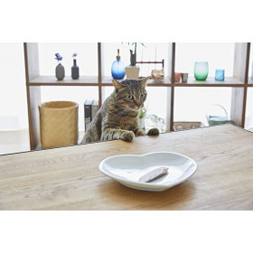 Натурално лакомство за котки Ciao Cat Treats Grilled Chicken Fillet in Shrimp Flavored Broth истинско пилешко филе, залято с бульон от скариди; №1 в света мокро лакомство за котки