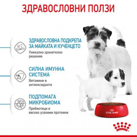 Суха храна за кучета Royal Canin MINI STARTER