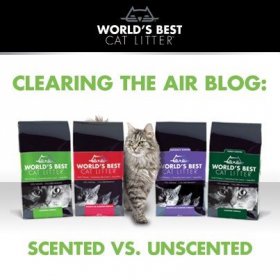Kотешка тоалетна WOLRD'S BEST CAT LITTER 6,35кг. - най-добрата котешка тоалетна на света
