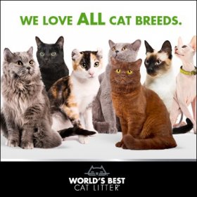 Kотешка тоалетна WOLRD'S BEST CAT LITTER MULTIPLE CAT 12,7кг. - най-добрата котешка тоалетна на света
