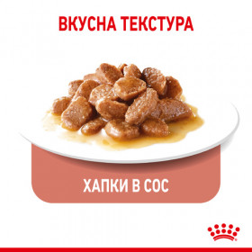 Royal Canin Appetite Control - пауч за котки в зряла възраст за спомагане на контролиране поведението на просене