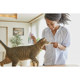 Натурално лакомство за котки Ciao Cat Treats Grilled Tuna Fillet in Crab Flavoured Broth гриловано филе от риба тон, залято с бульон от морски раци; №1 в света мокро лакомство за котки