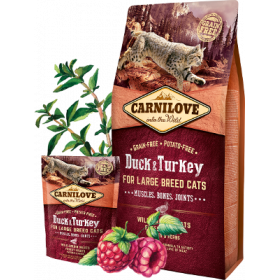 Пълноценна суха храна за котки от големите породи Carnilove Duck & Turkey - Large breed Cats със 32% патешко и 18% пуешко, БЕЗ ЗЪРНЕНИ КУЛТУРИ