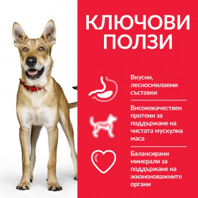 Hill’s Science Plan Adult Performance с пилешко – Пълноценна суха храна за кучета с повишени енергийни нужди на възраст над 1 година 