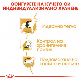 Royal Canin BREED BEAGLE ADULT 3кг.