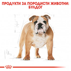 Суха храна за кучета  Royal Canin BULLDOG ADULT