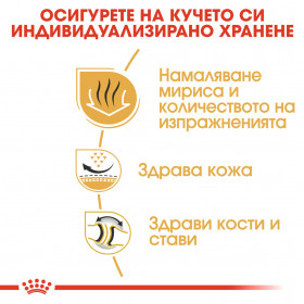 Суха храна за кучета  Royal Canin BULLDOG ADULT
