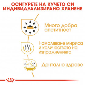 Суха храна за кучета Royal Canin CHIHUAHUA ADULT
