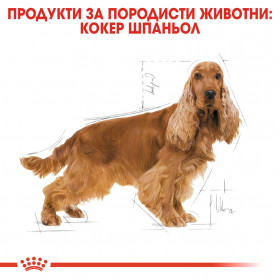 Суха храна за кучета  Royal Canin COCKER ADULT