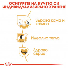 Суха храна за кучета  Royal Canin COCKER ADULT