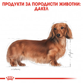 Суха храна за кучета Royal Canin DACHSHUND ADULT