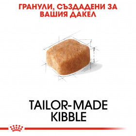 Суха храна за кучета Royal Canin DACHSHUND ADULT