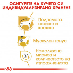 Суха храна за кучета Royal Canin DACHSHUND ADULT