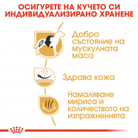 Суха храна за кучета Royal Canin FRENCH BULLDOG ADULT