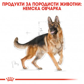 Суха храна за кучета  Royal Canin GERMAN SHEPHERD ADULT