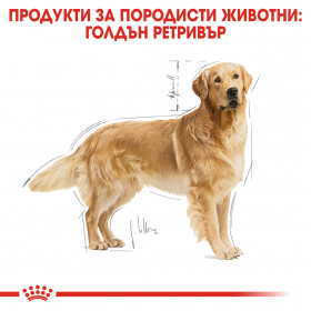 Суха храна за кучета  Royal Canin GOLDEN RETRIEVER ADULT