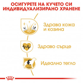 Суха храна за кучета  Royal Canin GOLDEN RETRIEVER ADULT