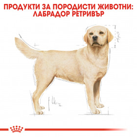 Суха храна за кучета  Royal Canin LABRADOR RETRIEVER ADULT 