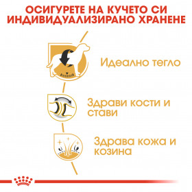 Суха храна за кучета  Royal Canin LABRADOR RETRIEVER ADULT 