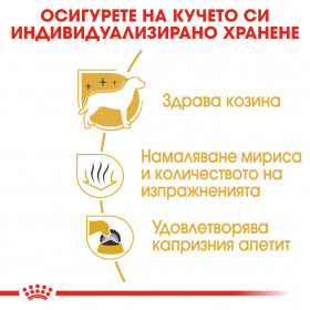 Суха храна за кучета Royal Canin Maltese Adult