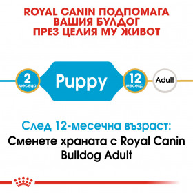 Суха храна за кучета Royal Canin BULLDOG PUPPY