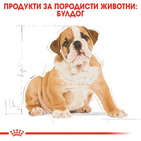 Суха храна за кучета Royal Canin BULLDOG PUPPY