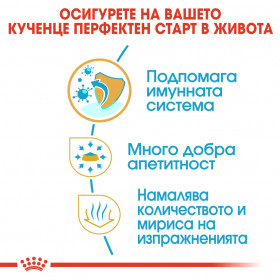 Суха храна за кучета Royal Canin CHIHUAHUA JUNIOR  