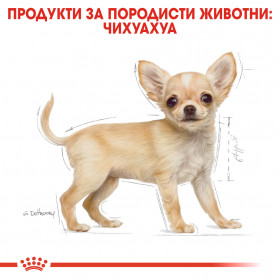 Суха храна за кучета Royal Canin CHIHUAHUA JUNIOR  