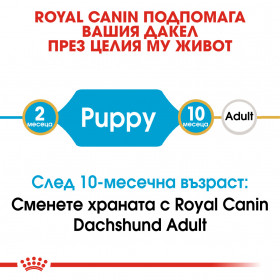 Суха храна за кучета Royal Canin BREED DACHSHUND JUNIOR 1,5кг.