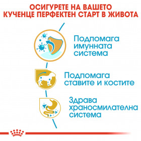 Суха храна за кучета Royal Canin BREED DACHSHUND JUNIOR 1,5кг.