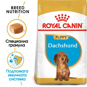 Суха храна за кучета Royal Canin BREED DACHSHUND JUNIOR 1,5кг.