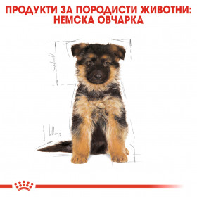 Суха храна за кучета  Royal Canin GERMAN SHEPHERD JUNIOR 