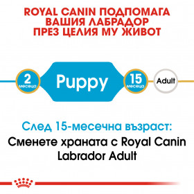 Суха храна за кучета  Royal Canin LABRADOR RETRIEVER JUNIOR