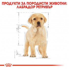 Суха храна за кучета  Royal Canin LABRADOR RETRIEVER JUNIOR