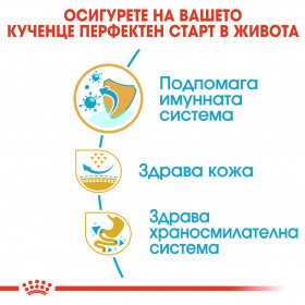Суха храна за кучета Royal Canin PUG JUNIOR 1,5кг.