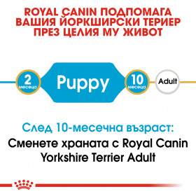 Суха храна за кучета Royal Canin YORKSHIRE TERRIER JUNIOR 