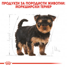 Суха храна за кучета Royal Canin YORKSHIRE TERRIER JUNIOR 