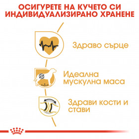 Суха храна за кучета  Royal Canin ROTTWEILER ADULT