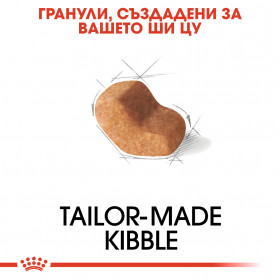 Суха храна за кучета Royal Canin SHIH TZU ADULT
