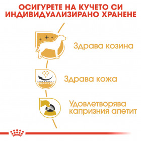 Суха храна за кучета Royal Canin WEST HIGHLAND WHITE TERRIER