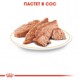 Пауч Royal Canin Chihuahua Adult 85 гр. - специално създадена за Чихуахуа над 8 месеца