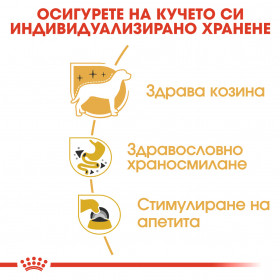 Пауч Royal Canin Chihuahua Adult 85 гр. - специално създадена за Чихуахуа над 8 месеца