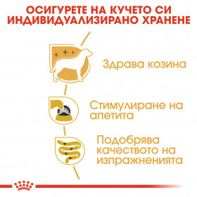 Пауч Royal Canin Yorkshire Terrier Adult 85 гр. -  специално за порода Йоркширски териер, над 10 месеца
