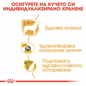 Суха храна за кучета Royal Canin YORKSHIRE TERRIER ADULT 